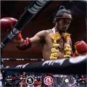Clases particulares Muaythai para todos los niveles