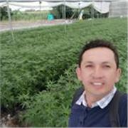 Clases de matemáticas financieras y evaluación de proyectos para emprendedores y agronegocios