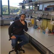 Profesor de castellano, soy árabe y mi idioma nativo es el árabe, tengo cerrificado de castellano nivel avanzado