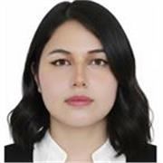 Profesora de inglés certificada brinda clases virtuales dinámicas y personalizadas