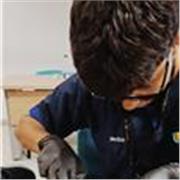 Estudiante de Medicina apasionado por las ciencias biomédicas ofrece clases dinámicas de Biología, Fisiología y Bioquimica