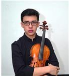 Profesor de violin y viola para todos los inveles y/o edades, estoy en segundo de grado superior en música.
