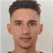 Ragazzo laureando in ingegneria offre lezioni di matematica e italiano