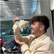 Traduzione da Italiano-Inglese oppure da Inglese-Italiano