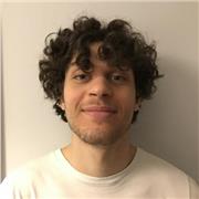 studente magistrale, laureato triennale in ingegneria gestionale offre ripetizioni di matematica e fisica per scuole superiori e esami universitari