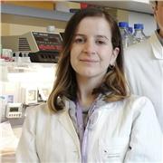 Sei alla ricerca di una persona che ti aiuti in compiti di scienze/matematica per ragazzi di elementari/medie? Contattami!!!!