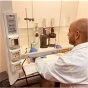 G. Alejandro Durán Román