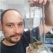 Dottorando in Neurobiologia offre ripetizioni di Biologia per studenti liceali e universitari