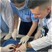 Profesor de Biología experto en procesos de investigación, anatomía y taxonomía bachiller y educación media