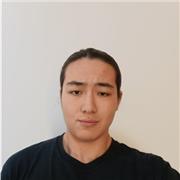 Profesor de programación para principiantes, novatos y niños