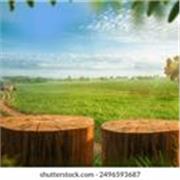 Aide à la compréhension , aux devoirs et aux rattrapages