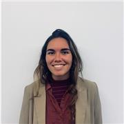 Doy clases particulares de inglés a todos los niveles y cualquier materia de secundaria