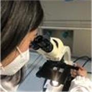 Sono una studentessa di biologia e posso impartire lezioni di biologia,chimica,logica,matematica e inglese