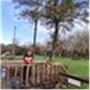 Ignacio Parrado Rodríguez