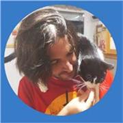 Física y Matemáticas Online (Con pantalla tactil de 24 pulgadas de dibujo profesional)