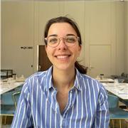 Cours particuliers distanciel dans la bonne humeur pour collège/lycée