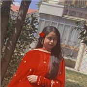 Insegnante di Informatica. Insegnerei a remoto. Preferisco i studenti di 3 superiore