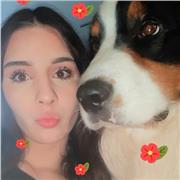 Professeure et traductrice bilingue Anglais Français pour niveau primaire