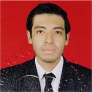 Profesor de clases de inglés de forma remota