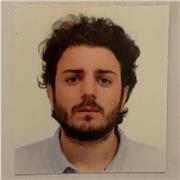 Offro lezioni private e/o supporto allo studio-tesi di Storia