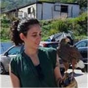 Madrelingua Italiano offre lezioni di Inglese online