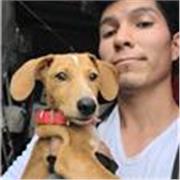 Maestro con experiencia en distintas materias como física, historia, matemáticas, biología, entre otras