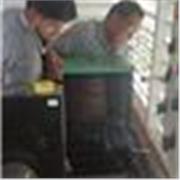Ingeniero Electrico especializado en redes
