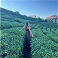 Burcu