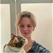 Professor de Ingles Americano, classes particulates para todas edades