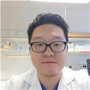 Englisch lernen leicht gemacht – persönlich, flexibel und effektiv