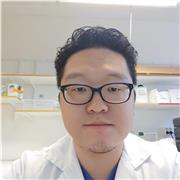 Englisch lernen leicht gemacht – persönlich, flexibel und effektiv