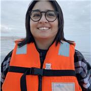 Experienced Native Spanish Teacher - I can help you improve your language skills and/or help you with A-level and GCSE