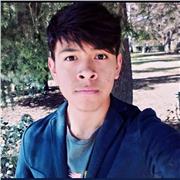 Clases de Programación básica para lenguajes C, Java, Python, Javascript y Html