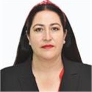 Clases de español para clases virtuales, disponibilidad para otras materias