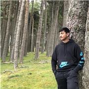 Experienced tutor simplifying GCSE concepts for student success