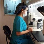 Maestra de biología Online