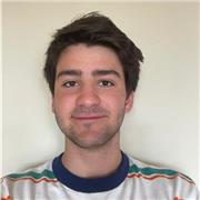 Profesor que imparte clases de inglés, francés, español, matemáticas, física,química…