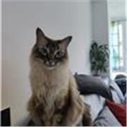 Máster en enseñanza de español para personas inmigrantes 