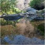 Especialización en bachillerato de música todo el país