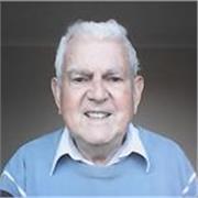 Experienced online tutor in physics and maths