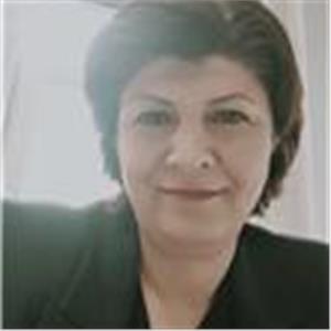 Ayse Dursun