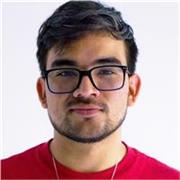 Ofrezco el servicio de sesiones de apoyo en tareas de inglés básico para niños/as de primaria y básico