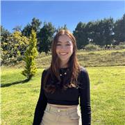 Clases particulares virtuales y presenciales de matemáticas