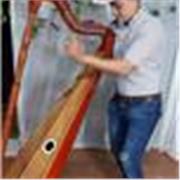 Clases de música.... Arpa cuatro y canto para niños jóvenes y adultos