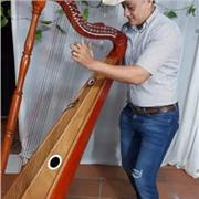 Clases de música.... Arpa cuatro y canto para niños jóvenes y adultos
