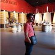 Profesor titulado en enseñanza de Español para Extranjeros con más de 15 años de experiencia se ofrece impartir clases online