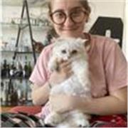 Cours particuliers pour toutes les âges en Anglais, peu importe le niveau !