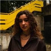 My lessons are aimed at university and college students who want to improve their writing, critical thinking, or study skills