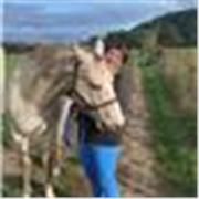 Donne cours pour apprendre ses galops, ethologie et comportement equin