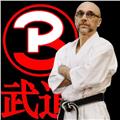 Lezioni di karate shotokan on line per tutti i livelli